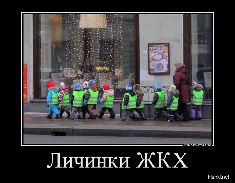 личинки ЖКХ