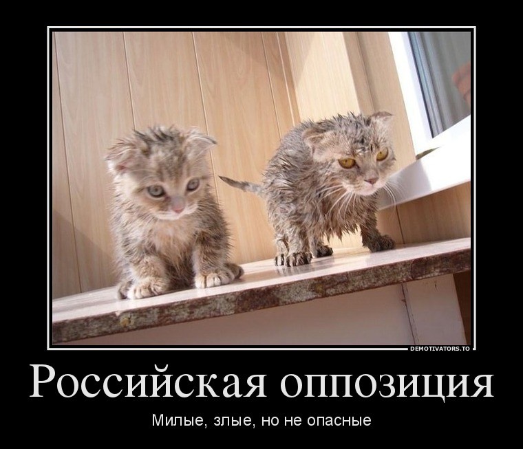 Российская оппозиция