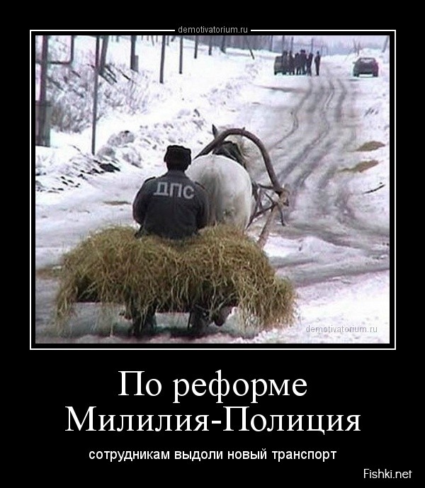 По реформе Милиция-Полиция
