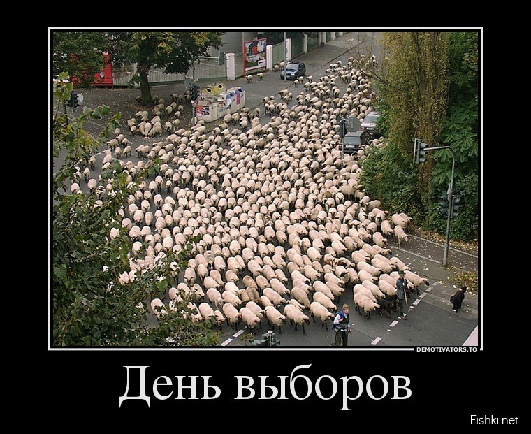День выборов